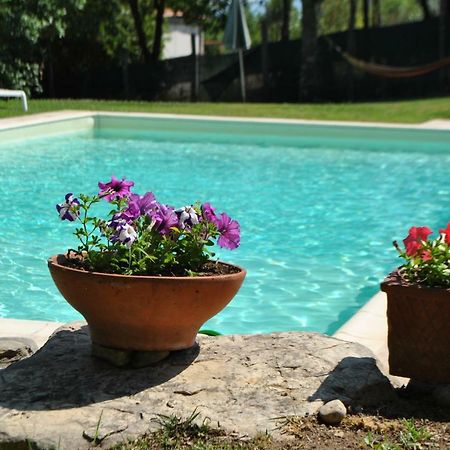 Apartament A Casa Di Giulia Siena Zewnętrze zdjęcie